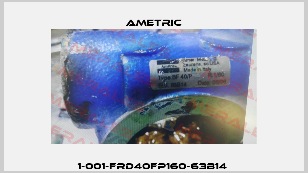 1-001-FRD40FP160-63B14  Ametric