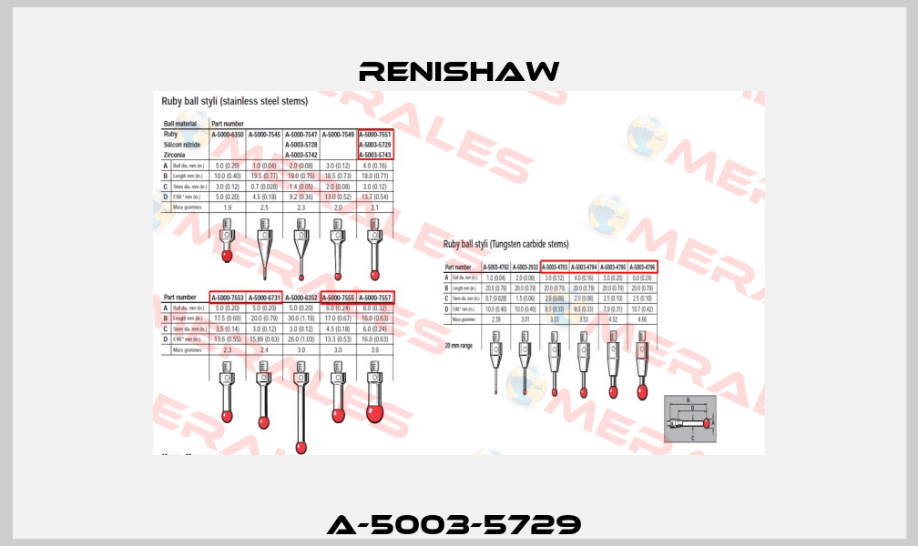 A-5003-5729  Renishaw
