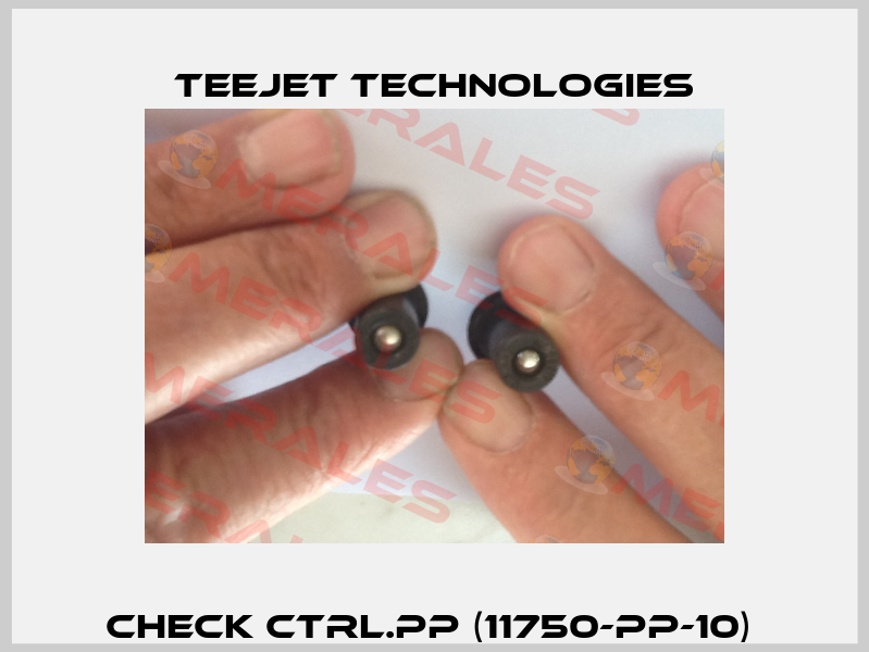 CHECK CTRL.PP (11750-PP-10)  TeeJet Technologies