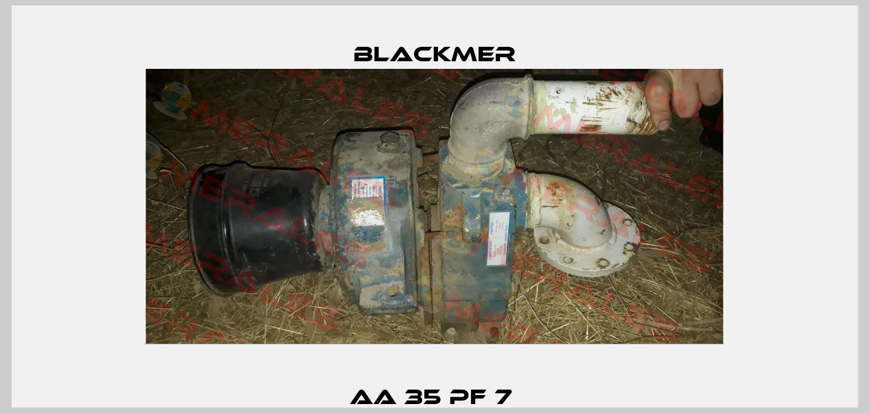 AA 35 PF 7  Blackmer