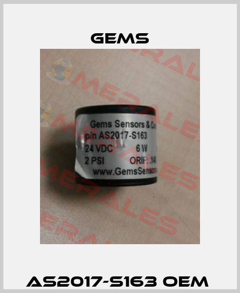 AS2017-S163 OEM  Gems