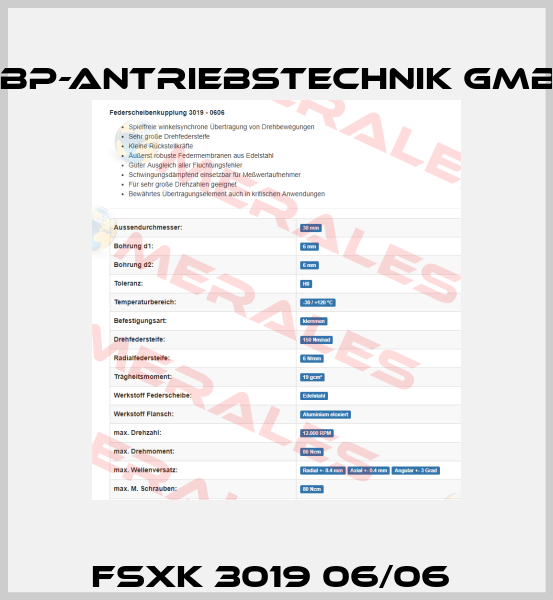 FSXK 3019 06/06  ABP-Antriebstechnik GmbH