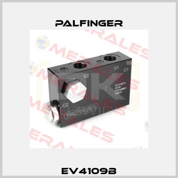 EV4109B Palfinger