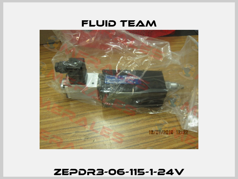 ZEPDR3-06-115-1-24V Fluid Team