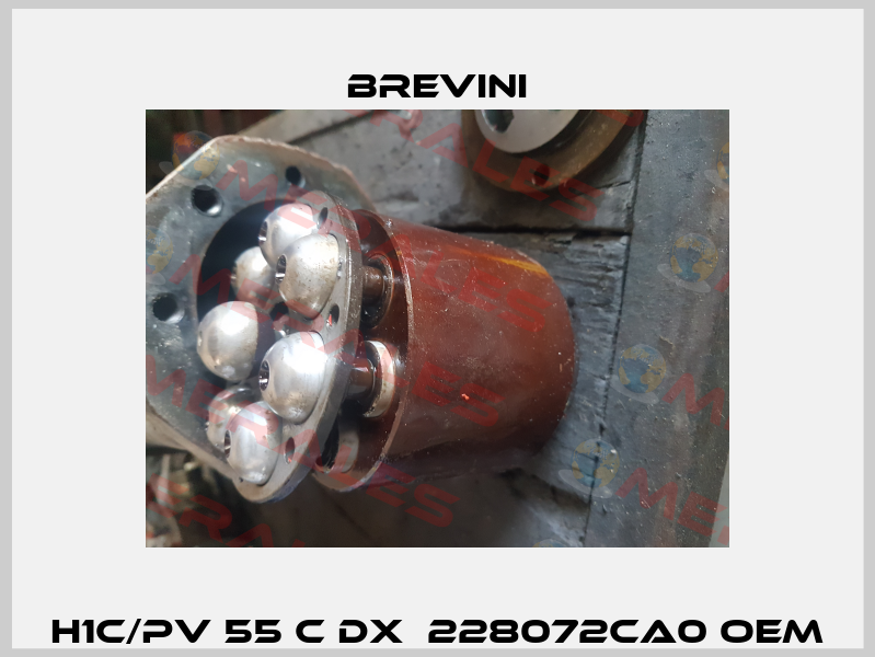 H1C/PV 55 C DX  228072CA0 OEM Brevini
