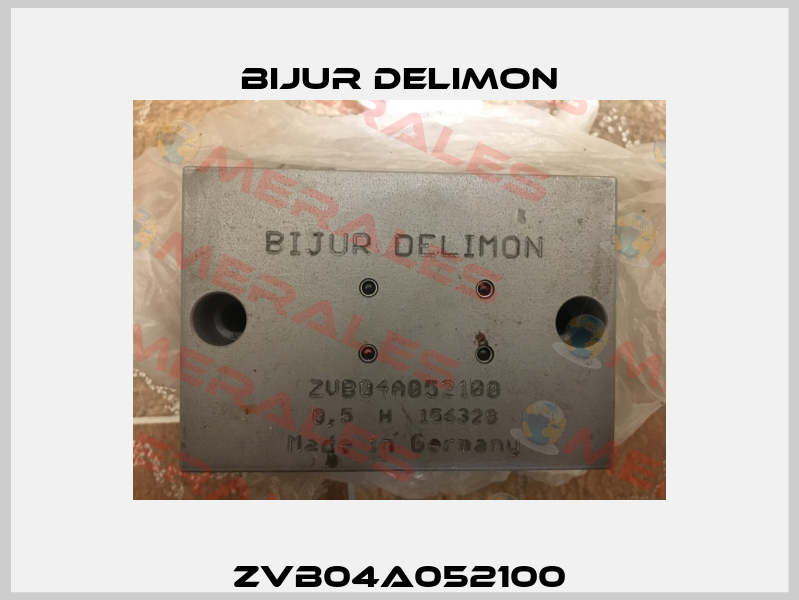 ZVB04A052100 Bijur Delimon