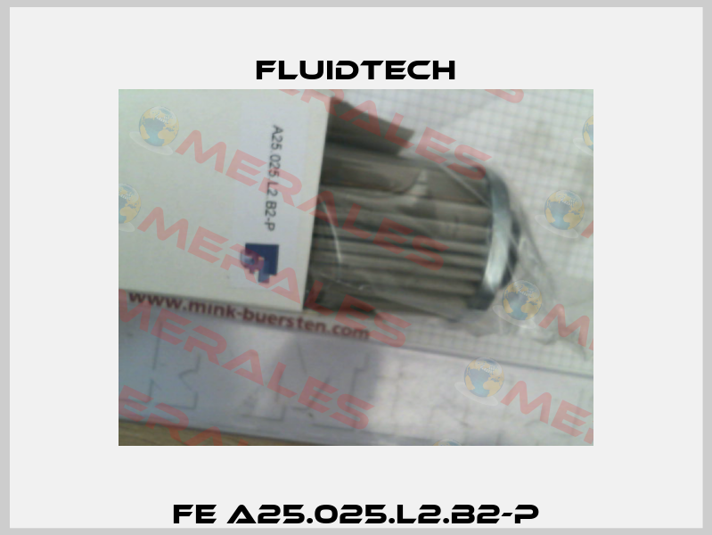 FE A25.025.L2.B2-P Fluidtech