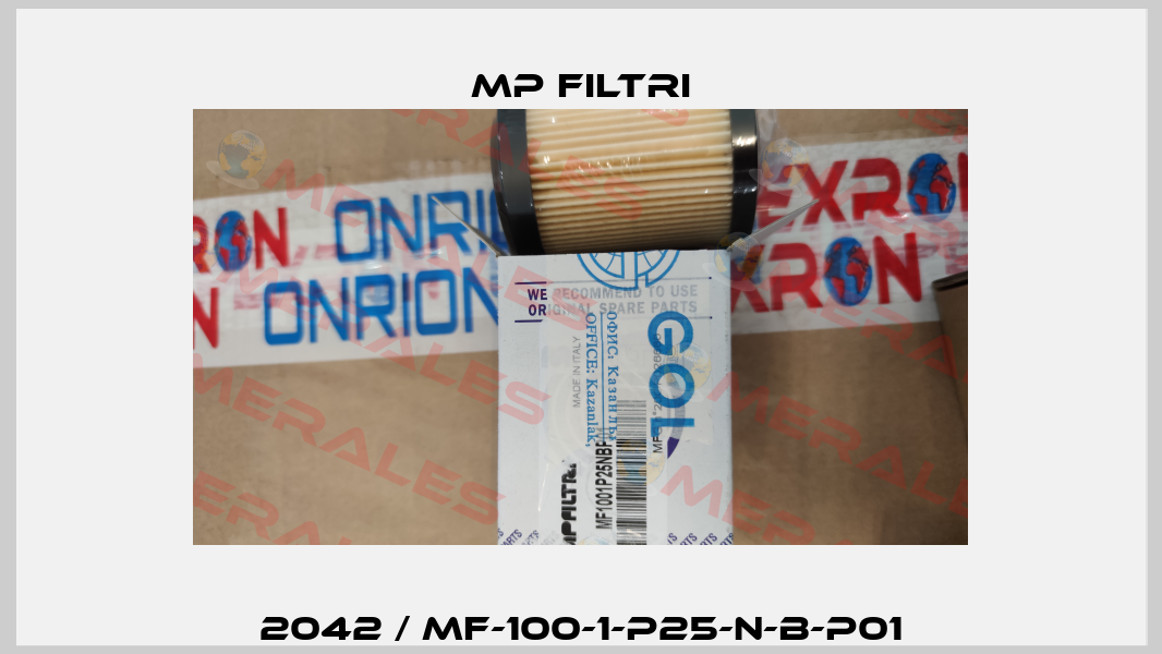 2042 / MF-100-1-P25-N-B-P01 MP Filtri
