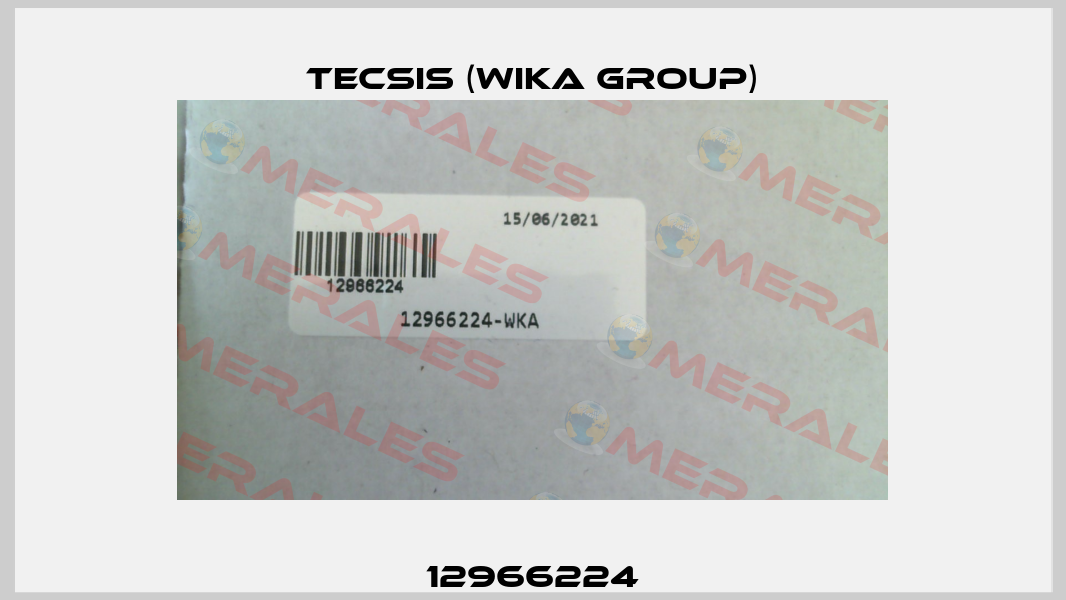 12966224 Tecsis (WIKA Group)