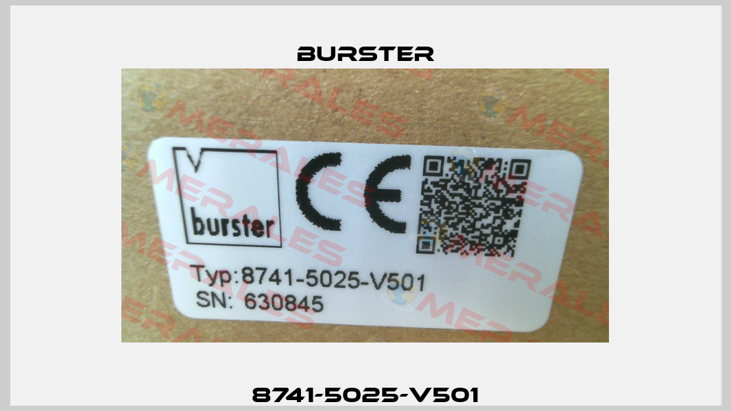 8741-5025-V501 Burster