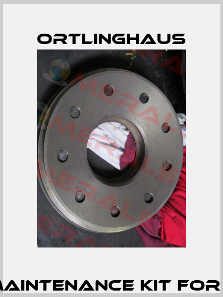 Repair and maintenance kit for EN-GJS-500-7  Ortlinghaus