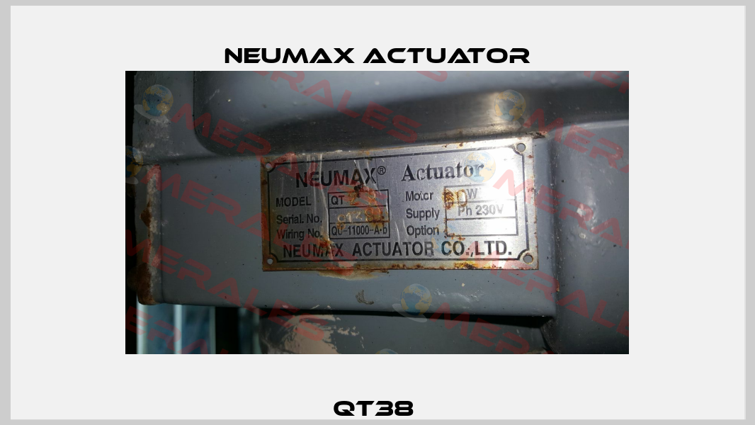 QT38  Neumax Actuator