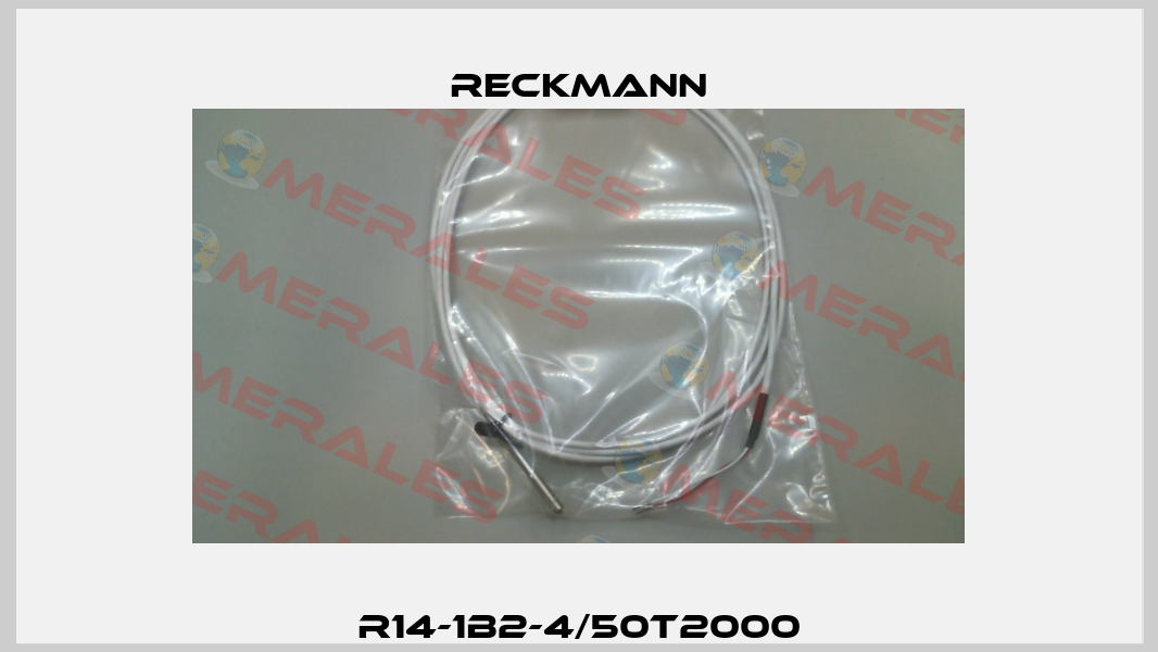 R14-1B2-4/50T2000 Reckmann