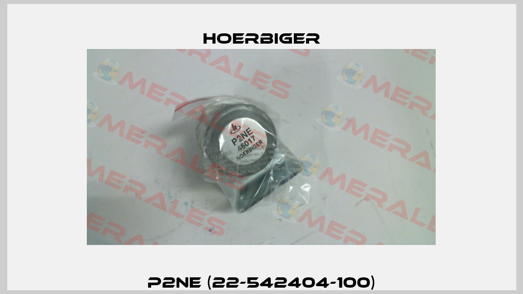 P2NE (22-542404-100) Hoerbiger