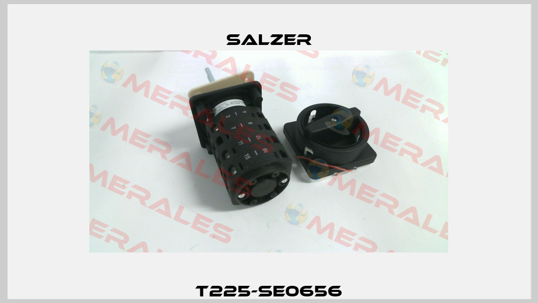 T225-SE0656 Salzer