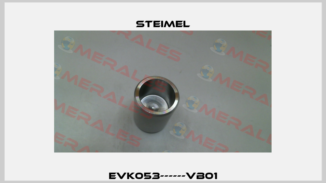 EVK053------VB01 Steimel