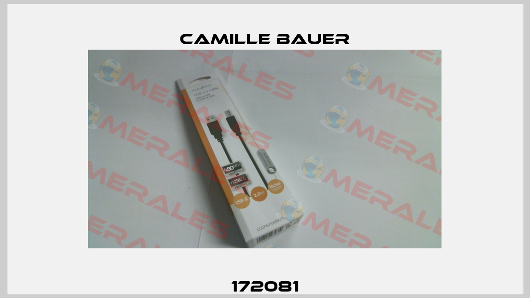 172081 Camille Bauer