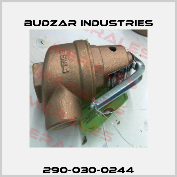290-030-0244 Budzar industries