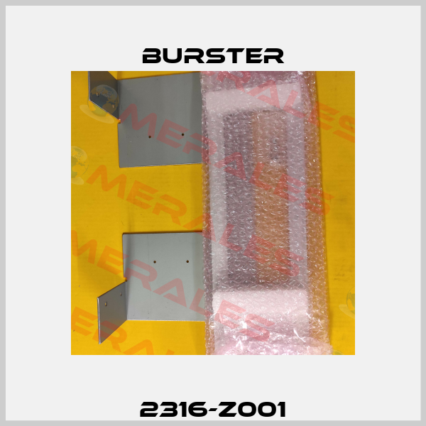 2316-Z001 Burster