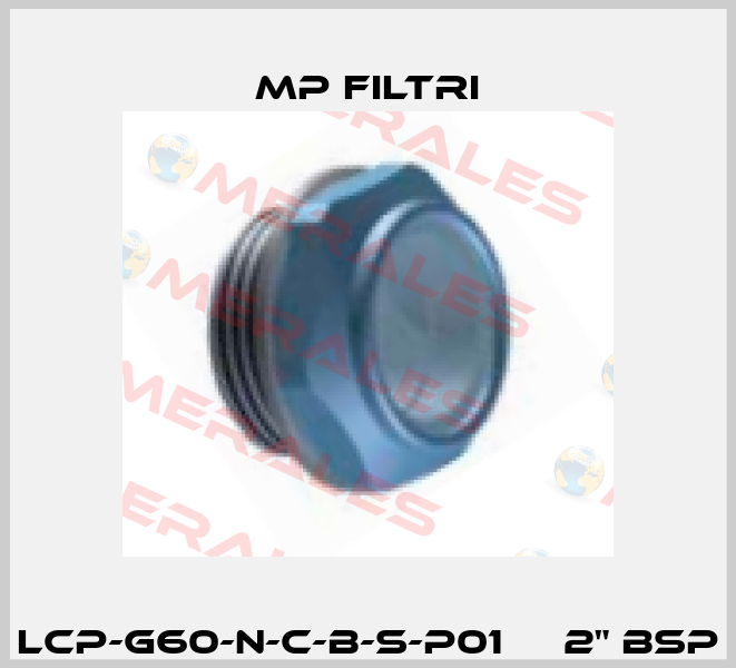 LCP-G60-N-C-B-S-P01     2" BSP MP Filtri