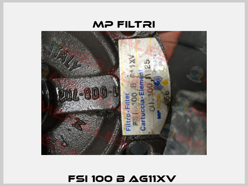FSI 100 B AG11XV  MP Filtri