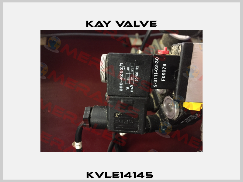 KVLE14145  Kay Valve