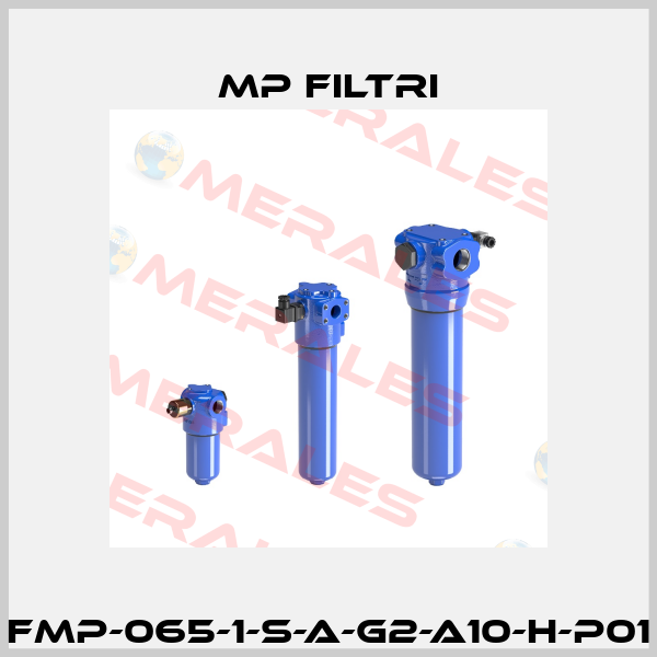 FMP-065-1-S-A-G2-A10-H-P01 MP Filtri