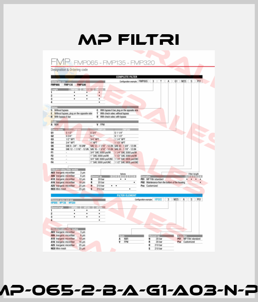 FMP-065-2-B-A-G1-A03-N-P01 MP Filtri