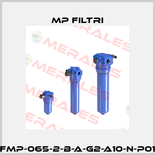 FMP-065-2-B-A-G2-A10-N-P01 MP Filtri