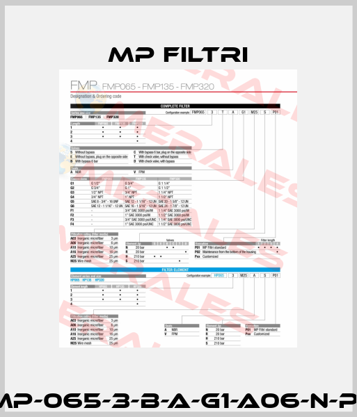 FMP-065-3-B-A-G1-A06-N-P01 MP Filtri
