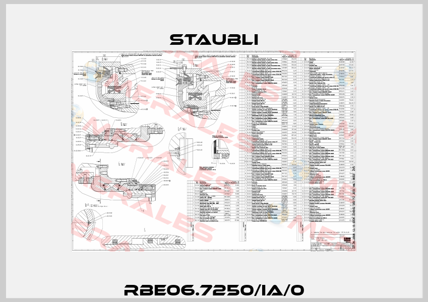 RBE06.7250/IA/0 Staubli