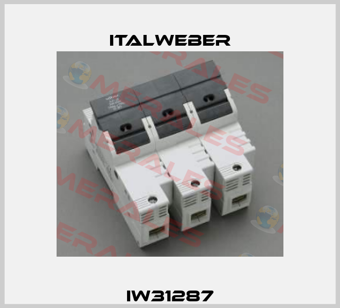 IW31287 Italweber