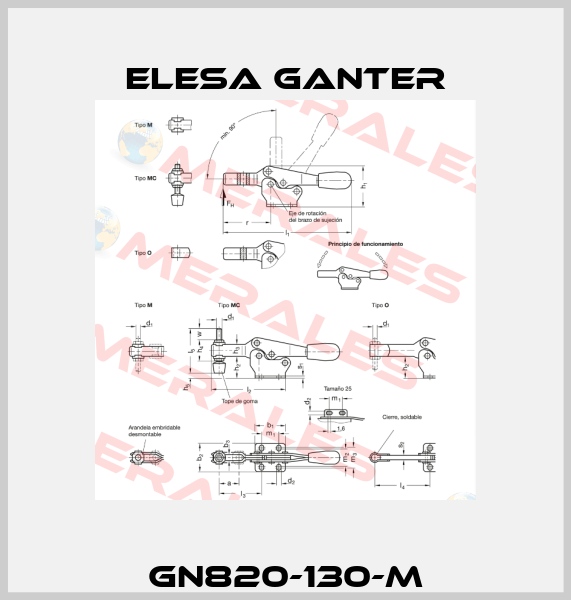 GN820-130-M Elesa Ganter