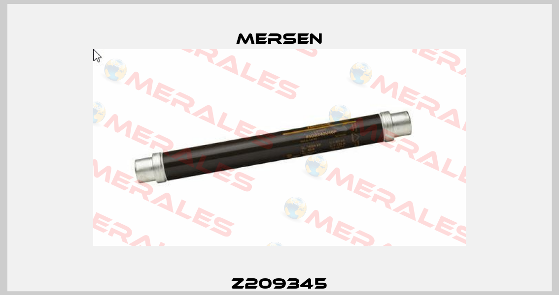 Z209345 Mersen