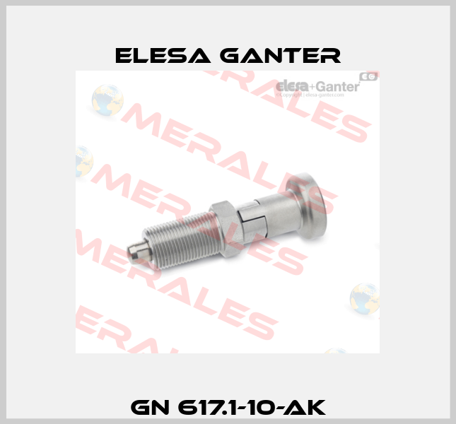 GN 617.1-10-AK Elesa Ganter