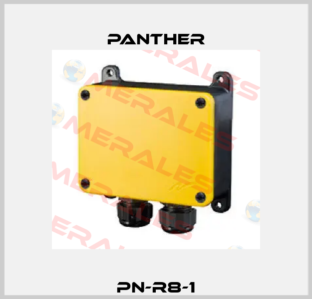 PN-R8-1 Panther