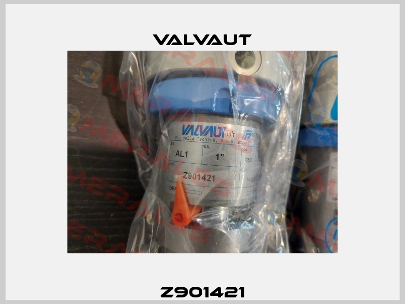 Z901421 Valvaut