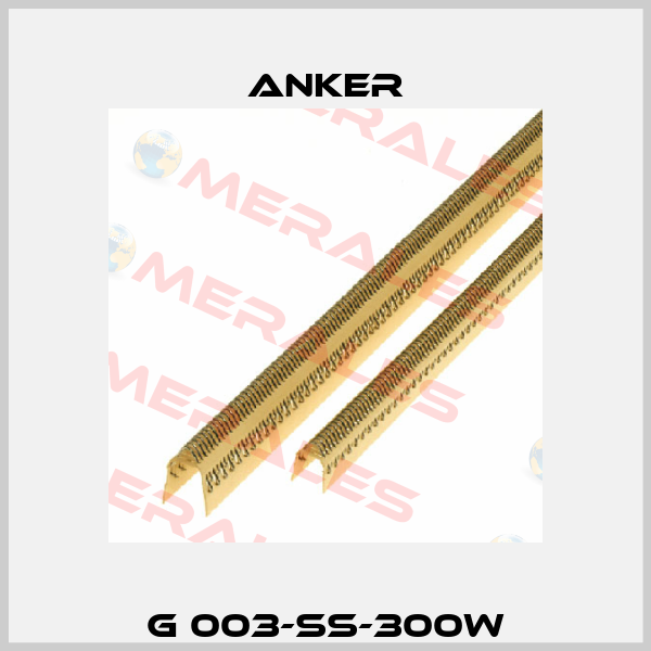 G 003-SS-300W Anker