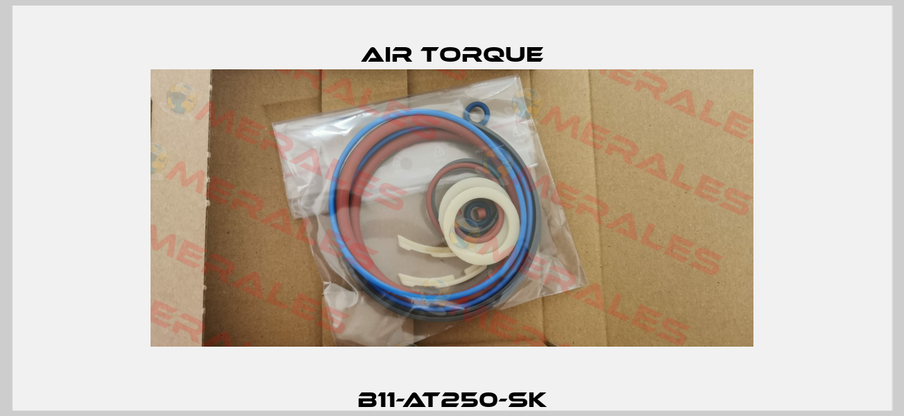 B11-AT250-SK seal kit for AT251US10 Air Torque