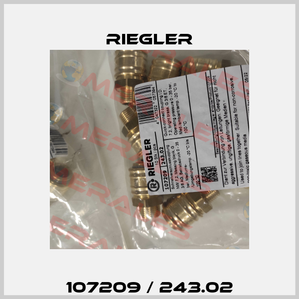 107209 / 243.02 Riegler