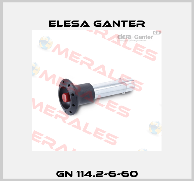 GN 114.2-6-60 Elesa Ganter