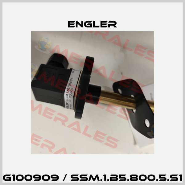 G100909 / SSM.1.B5.800.5.S1 Engler