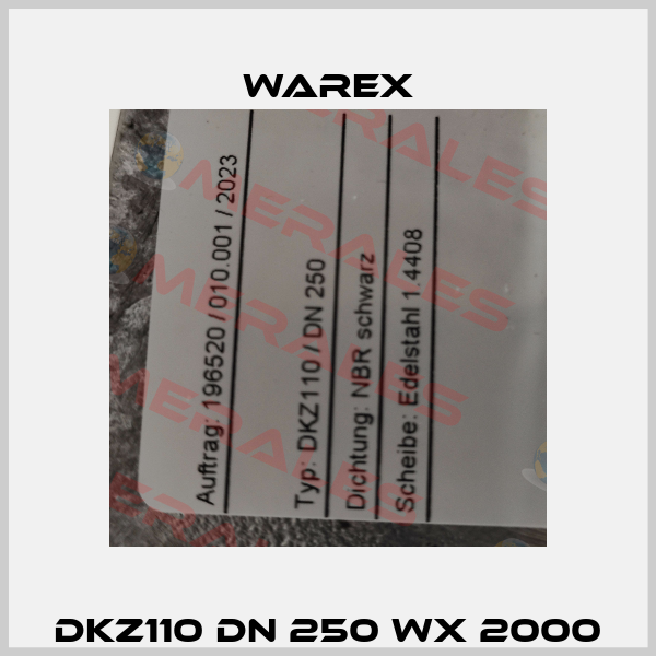 DKZ110 DN 250 WX 2000 Warex