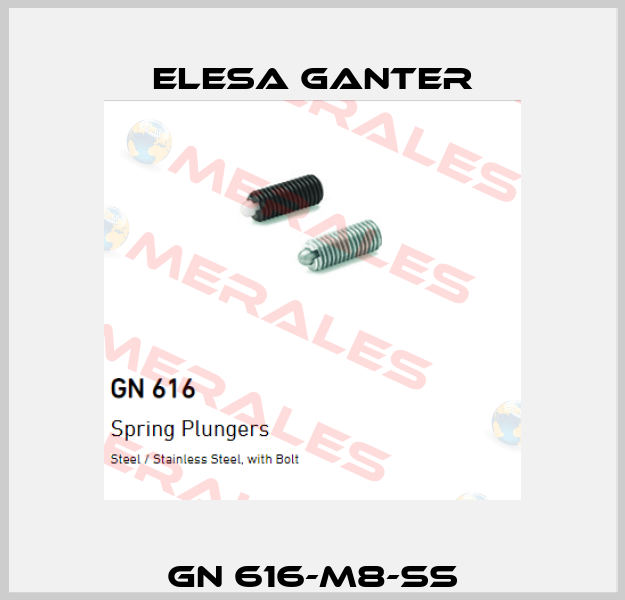 GN 616-M8-SS Elesa Ganter