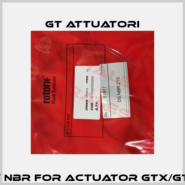 51977  (O-Ring set NBR for Actuator GTX/GTW.210) DS.NBR.210 GT Attuatori