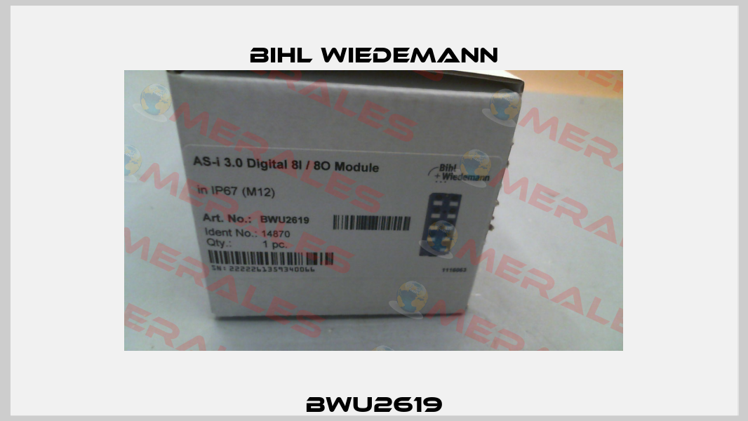 BWU2619 Bihl Wiedemann