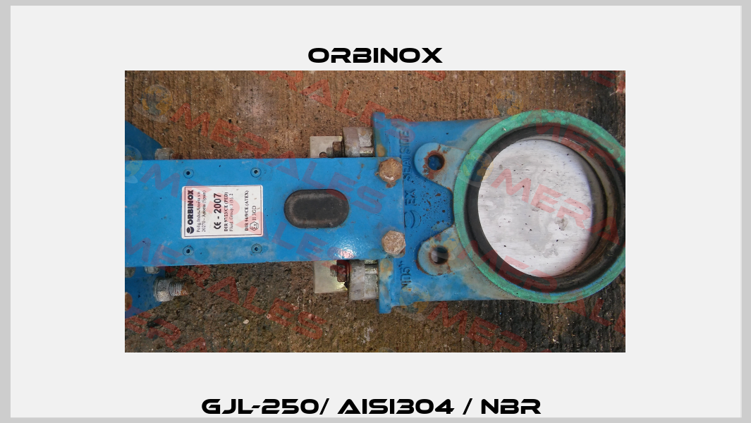 GJL-250/ AISI304 / NBR  Orbinox