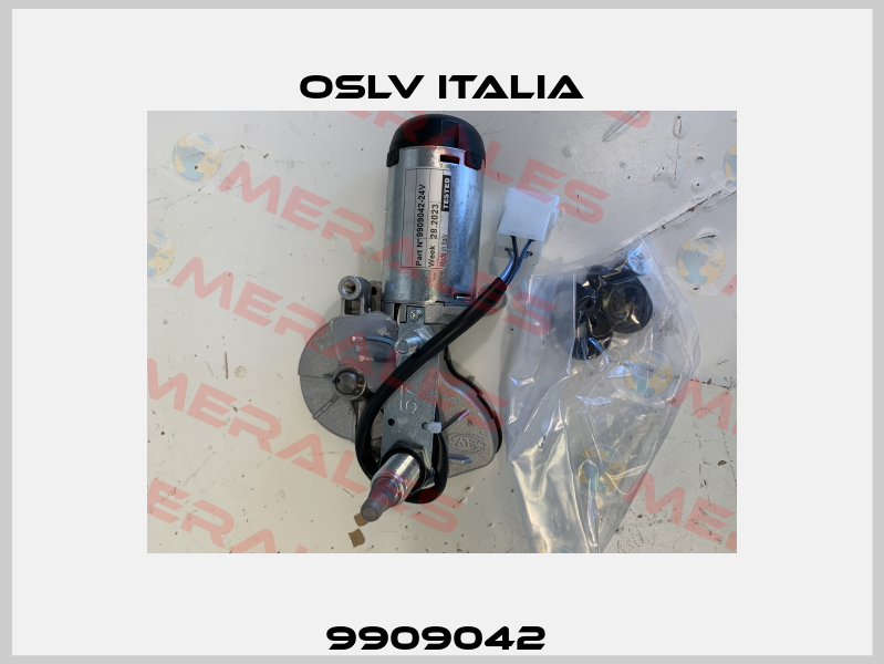 9909042  OSLV Italia