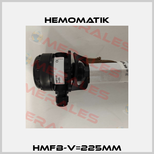 HMFB-V=225mm Hemomatik