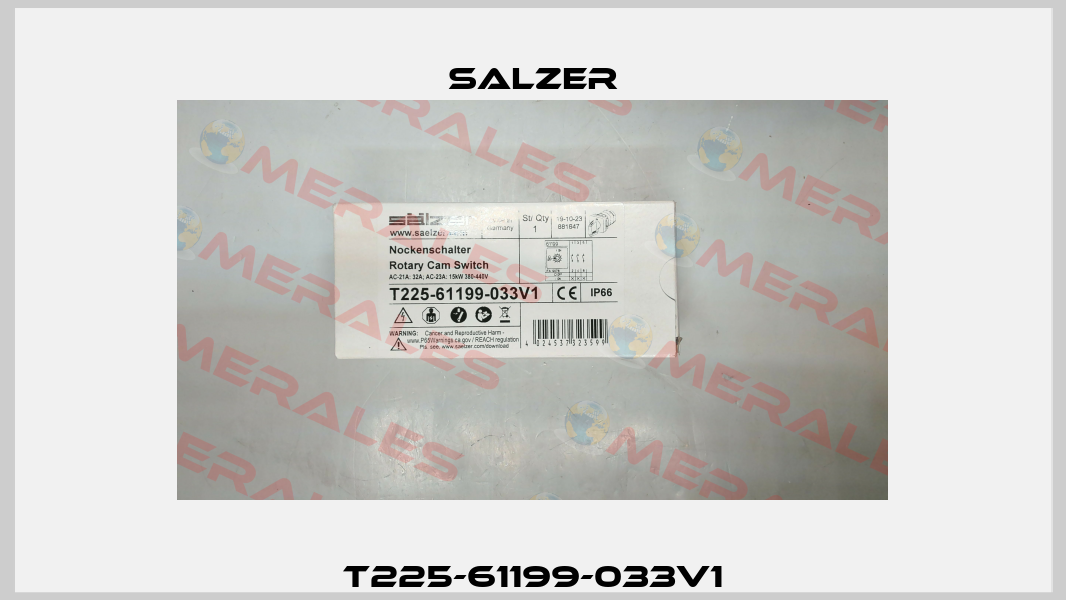 T225-61199-033V1 Salzer